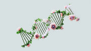 Unlocking Your Genetic Code: Epigenetics and Pharmacogenetics Testing