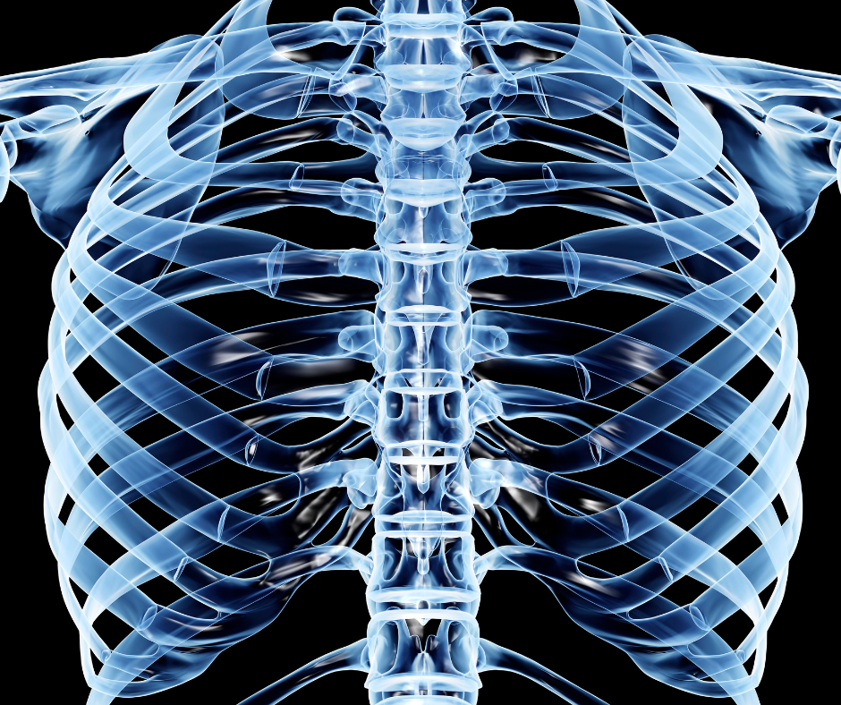 Chest X-Ray - Bartley Clinic